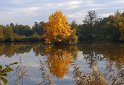 Herbstlandschaft am Venekotensee Brueggen